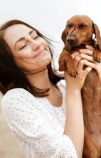 'Voz de bebê' ajuda tutores a na comunicação com os cães, diz estudo (Dominika Roseclay/Pexels)